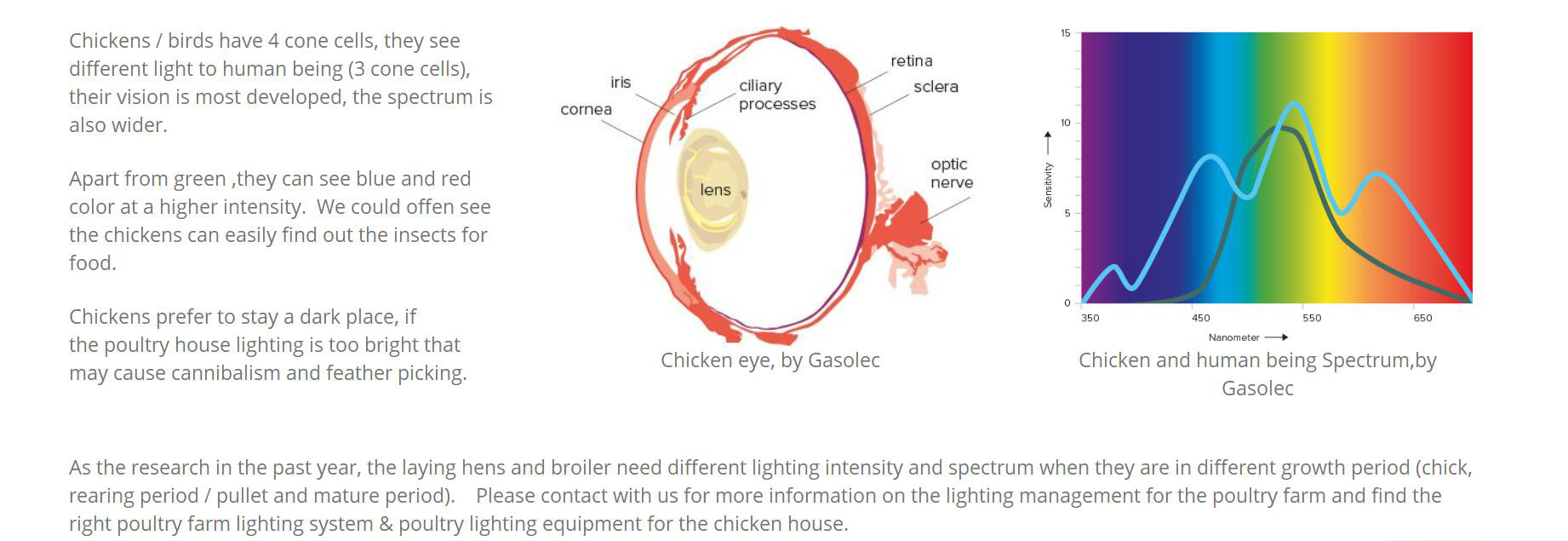 led-poultry-light-pulsa-seriesree-lighting-led-poultry-light-led-farm